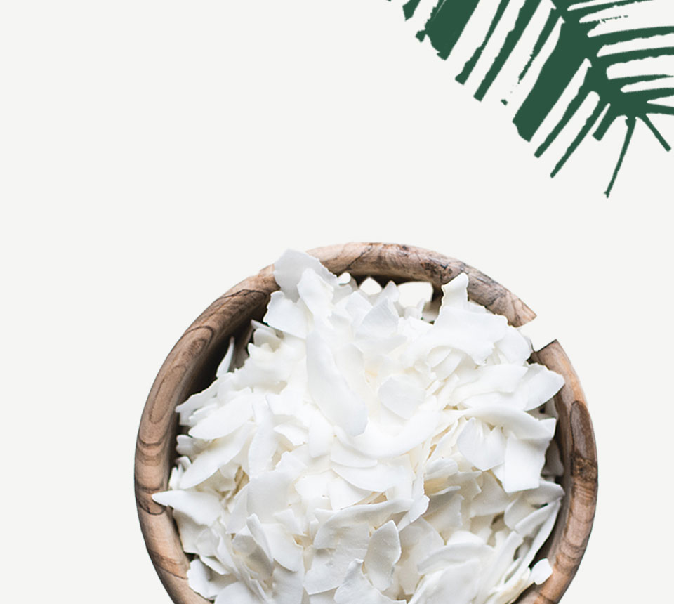 Desiccated Coconut