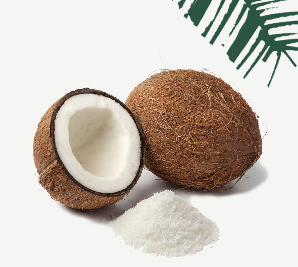 Organic Desiccated Coconut